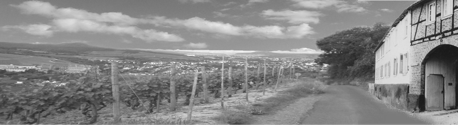 Blick über die Weinberge ins Ahrtal, rechts das Fachwerkhaus mit dem Hoftor